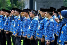Perjelas Nasib CASN-PPPK : Jangan Dibiarkan Terombang Ambing !