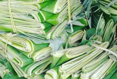 Harum Alami Daun Pisang, Sentuhan Tradisional yang Menghidupkan Rasa Masakan