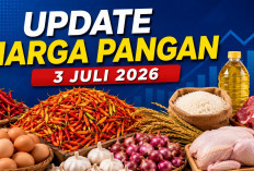 Update Harga Pangan 3 Juli 2026 : Cabai Rawit Tembus Rp63.200, Telur Ayam Ras Rp29.150 per Kilogram