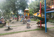 Palembang Rapikan 236 Taman Kota untuk Ciptakan Kenyamanan Warga