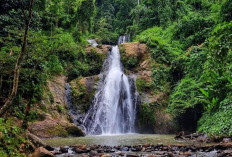 Menjelajahi Eksotis Air Terjun Lemutu, Surga Alami di Muara Enim