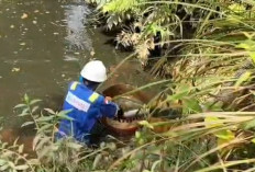 Diduga Tumpahan Minyak Tangki Penyimpanan PT SRMD Cemari Sungai dan Sumur Warga di Muratara