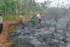 Karhutla Ancam Sumsel, 10 Daerah Naikkan Status Siaga dan Lakukan Hujan Buatan