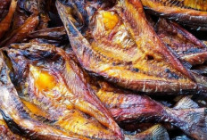 Aroma Tradisi dalam Sepotong Ikan Salai, Kuliner Nusantara yang Tetap Bertahan di Tengah Zaman