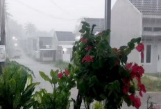 Kemarau 2026 Diprediksi Lebih Panjang, Waspada Cuaca Ekstrem di Masa Pancaroba