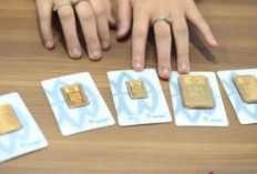 Harga Emas Antam Hari Ini, 19 Februari 2026: Kembali Naik Rp4.000 Menjadi Rp2,916 Juta per Gram !