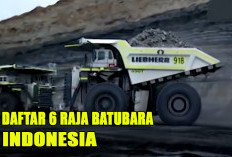 6 Raja Tambang Batu Bara di Indonesia : Siapa Saja Mereka dan Seberapa Besar Kekayaannya ?