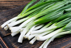 Daun Bawang, Si Hijau Serbaguna: Manfaat Kesehatan dan Peran Pentingnya dalam Masakan Nusantara