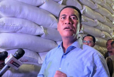 Permintaan Global Meningkat, Indonesia Siap Ekspor Urea di Tengah Krisis Selat Hormuz