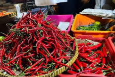 Update Harga Pangan H-1 Idul Adha 2026: Cabai Rawit Merah Tembus Rp77.300, Telur Ayam Rp31.800 per Kilogram
