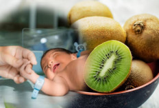 Kiwi: Sahabat Ibu Hamil dalam Mengurangi Risiko Cacat Lahir pada Bayi