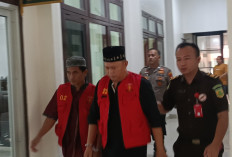 Komplotan Pencuri Sapi di Pedamaran Timur OKI Jalani Persidangan: Keresahan Masyarakat Mulai Terjawab!