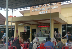 Selesai Tepat Waktukah? 4600 Lulusan P3K OKI Diminta Buat SKCK dan Surat Keterangan Sehat Dalam 6 Hari