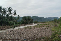 Disbudpar Sumsel Promosikan 150 Desa Wisata ke Tingkat Nasional