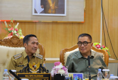 Helmy Yahya Gagas Festival Songket untuk City Branding Palembang