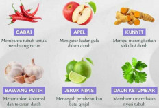 Makanan yang Efektif Membersihkan Darah Kotor untuk Kesehatan Optimal