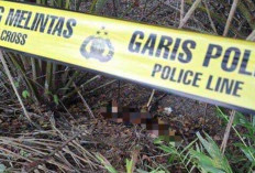  Jatanras Polda Sumsel Temukan Jasad Christina di Kebun, Pelaku Utama Diringkus di Jawa Timur