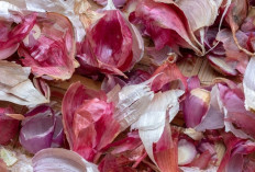 Atasi Kaki Kram dan Lancarkan Sirkulasi  Darah dengan Kulit Bawang Merah