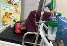 CRF vs PCX, 1 Tewas, 2 Luber dan 1 Luring