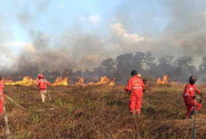Kebakaran Kembali Terjadi di Ogan Ilir Petugas Berjibaku Padamkan Api