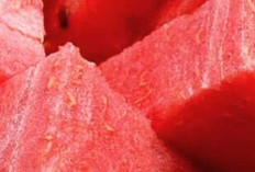 Buah Semangka, Sumber Hidrasi Alami dengan Banyak Khasiat