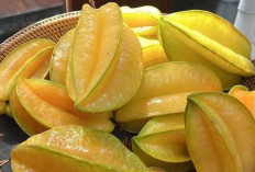 Manfaat Buah Belimbing untuk Kesehatan dan Kecantikan: Buah Tropis yang Kaya Nutrisi