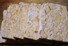 Mengungkap Manfaat Makan Tempe Mentah: Kaya Probiotik hingga Menunjang Kesehatan Pencernaan