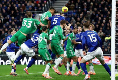 Hasil Liga Premier Inggris: Everton Tak Berdaya! Newcastle Menang 4-1