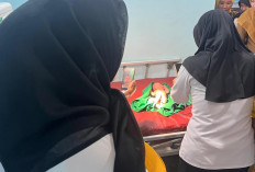 Tangis Bayi Perempuan Terdengar di Semak Belukar 