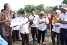 Menangkan Gugatan Perdata Hutan Kota: Pj Bupati OKI Apresiasi Kejari!