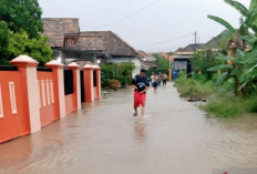 1.492 Jiwa dan 343 Rumah di OKU Terdampak Banjir 
