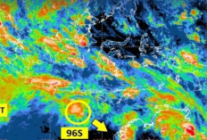 Cuaca Ekstrem Awali 2026, BMKG Peringatkan Hujan Lebat dan Angin Kencang di Sejumlah Wilayah
