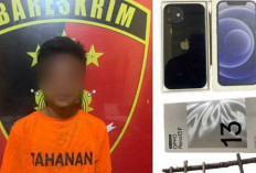 Pelaku Curat di Babat Toman diamankan