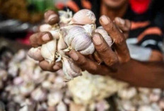 Harga Pangan 2 November 2024 :  Bawang Putih Sentuh Angka Rp40.350 per Kilogram !  