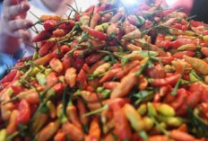 Harga Pangan 26 November 2024 : Cabai Rawit Merah Capai Rp41.580 per Kilogram !