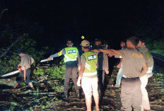 Polisi Evakuasi Pohon Tumbang di Jalur Mudik Kabupaten OKU