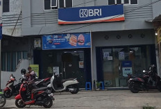 Nasabah Sangat Terbantu dengan Kehadiran BRI Padat Karya  