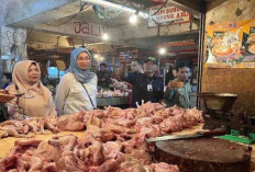 Harga Pangan 10 Oktober 2024 : Daging Ayam Naik Rp2.030 Menjadi Rp36.660 per Kilogram !