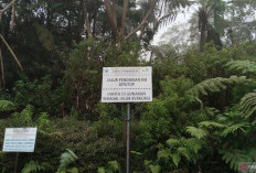 7.367 Pendaki Jajaki Gunung Dempo Pagaralam