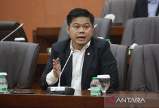 Tindak Tegas Oknum Preman Berkedok Pers