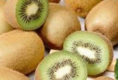 Mengenal Berbagai Macam Jenis Buah Kiwi yang Menyegarkan