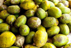 Jaga Kesehatan Mata, Tulang dan Gigi dengan Buah Kedondong