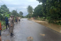 Pastikan Warga Dapat Bantuan Tepat dan Cepat Wako Wawako Pagaralam Tinjau Lokasi Banjir