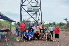 Belantara Foundation Dirikan Menara Pantau Gajah Liar di OKI