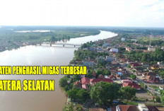 10 Kabupaten 'Sultan' Penghasil Minyak dan Gas Bumi Terbesar di Sumatera Selatan : Juaranya Bukan Prabumulih !