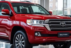 Baby Land Cruiser: Antara Hilux Rangga dan Fortuner Mini, Toyota Serius Garap SUV Off-Road Kompak !