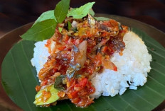 Nasi Kucing : Sajian Mini Penuh Makna, Simbol Kesederhanaan yang Melekat di Hati