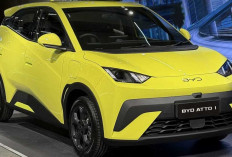 Murah Keterlaluan! BYD Atto 1 Resmi Dijual di Indonesia Mulai Rp195 Juta