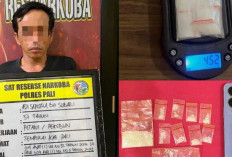 Satresnarkoba Polres PALI Ringkus Tersangka Kasus Narkotika di Desa Tempirai