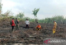 Januari-April, Karhutla Sumsel Capai 182,54 Hektare